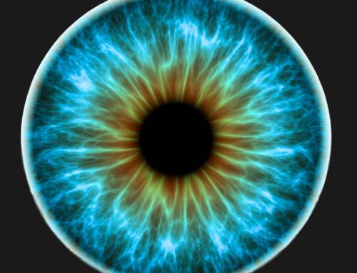 Faszinierende Blicke – Irisfotografie-Event am 14.11.2025 von 13 bis 19 Uhr